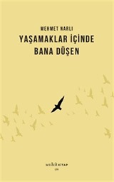 Yaşamaklar İçinde Bana Düşen