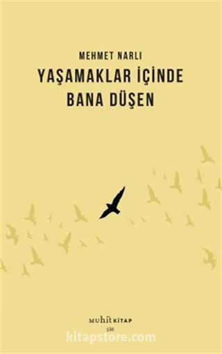 Yaşamaklar İçinde Bana Düşen