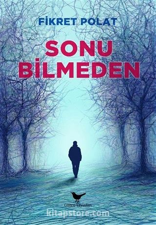 Sonu Bilmeden