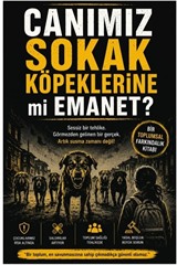 Canımız Sokak Köpeklerine mi Emanet?