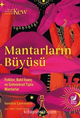 Mantarların Büyüsü