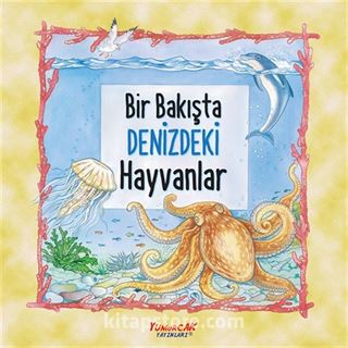 Bir Bakışta Denizdeki Hayvanlar