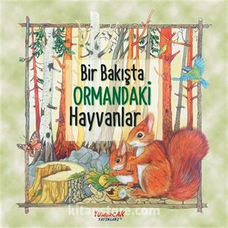 Bir Bakışta Ormandaki Hayvanlar