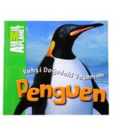 Vahşi Doğadaki Yaşamım: Penguen