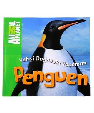 Vahşi Doğadaki Yaşamım: Penguen