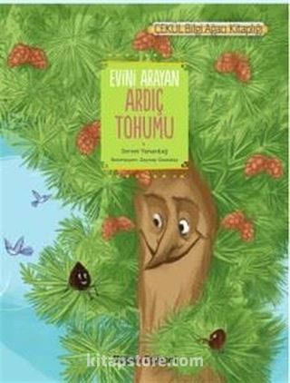 Evini Arayan Ardıç Tohumu (Okul İçin)