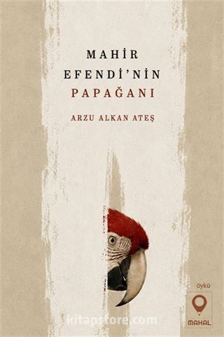 Mahir Efendi'nin Papağanı