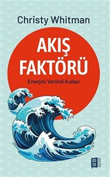 Akış Faktörü