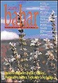 Sayı:98 Nisan 2006 / Berfin Bahar/Aylık Kültür, Sanat ve Edebiyat Dergisi