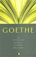 Goethe / Fikir Mimarları Dizisi