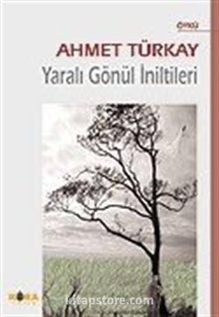 Yaralı Gönül İniltileri