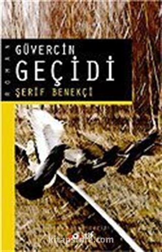 Güvercin Geçidi