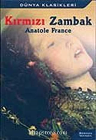 Kırmızı Zambak