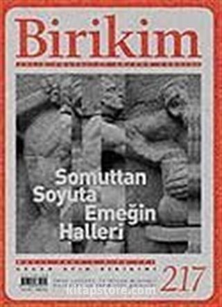 Birikim / Sayı: 217 Yıl: 2007 / Aylık Sosyalist Kültür Dergisi