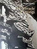 The Miracle of Divriği