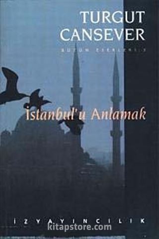 İstanbul'u Anlamak